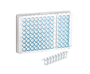 SINGLE-BREAK STRIP PLATE, 12XC8 WELL, PS, C-BOTTOM, CLEAR - High Binding, Microlon, Blue Colour Coding On Well Rim - Greiner Bio-One (705074)