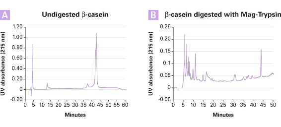 Mag-Trypsin 635646 - Protein research - Takara Bio