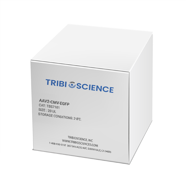 AAV2-CMV-eGFP TBS7101 - Life Science - TriBioScience