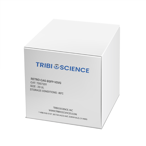 Retro-CAG-eGFP-VSVG TBS7201 - Life Science - TriBioScience