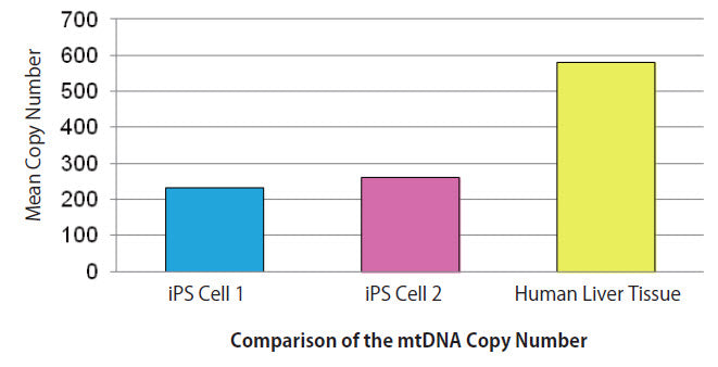 Human Mitochondrial DNA (mtDNA) Monitoring Primer Set 7246 - Stem cell research - Takara Bio