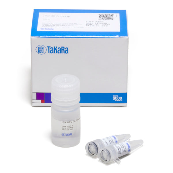 HRV 3C Protease 7360 - Protein research - Takara Bio