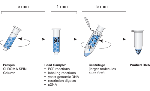 CHROMA SPIN™-1000+DEPC-H2O Columns 636093 - mRNA and cDNA synthesis - Takara Bio