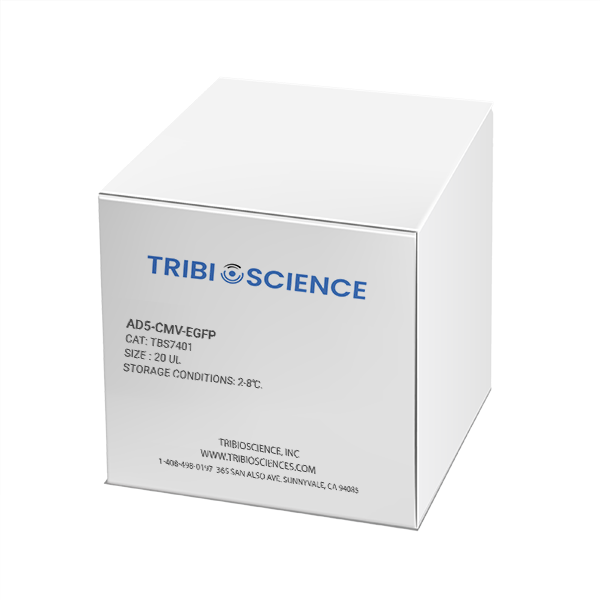 Ad5-CMV-eGFP TBS7401 - Life Science - TriBioScience
