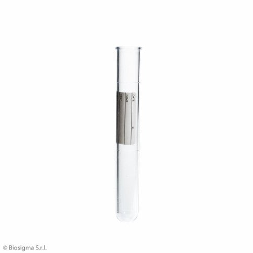 Test Tubes 5 mL, Cylindrical (BSA059V/P)