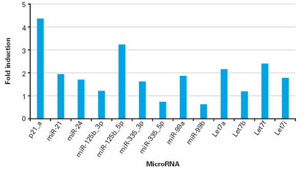 Mir-X™ miRNA qRT-PCR TB Green® Kit 638316 - Gene function - Takara Bio