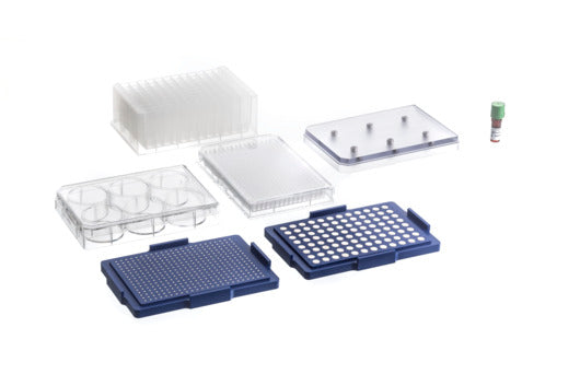 BIO ASSAY KIT, CLEAR, NANOSHUTTLE 600 µL, 96 WELL MASTERBLOCK - 384 Well / 6 Well + 384 Well Drives, 6 Well + 384 Well Microplates, Cell-Repellent Surface - Greiner Bio-One (781846)