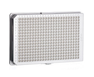 CELL CULTURE MICROPLATE, 384 WELL, PS, POLY-D-LYSINE, CELLCOAT®, LID - White / Yes / 5 pcs./bag - Greiner Bio-One (781944)