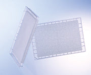 MASTERBLOCK®, 1536 WELL, PP, DEEP WELL, V-BOTTOM, NATURAL - Non-sterile - Greiner Bio-One (782270)