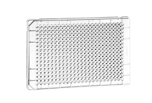 MICROPLATE, 384 WELL, PS, SMALL VOLUME, LOBASE - Clear - Greiner Bio-One (788101)