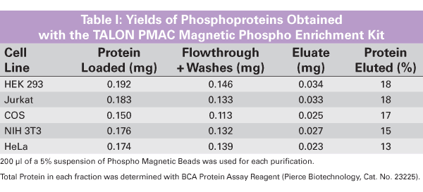 TALON® PMAC Magnetic Phospho Enrichment Kit 635641 - Protein research - Takara Bio