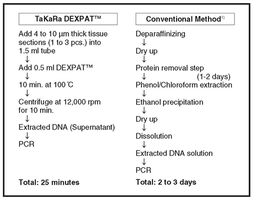 TaKaRa® DEXPAT™ Easy 9104 - Cloning - Takara Bio