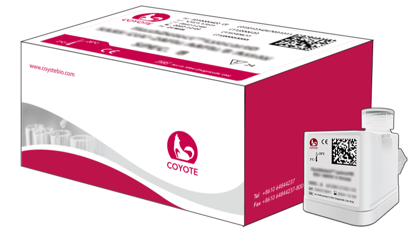 FlashDetect LyocartD Strep A Assay, All-in-One PCR Cartridge, 24 Tests (6018021905-CE)