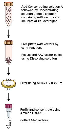 AAVpro® Concentrator 6674 - Gene function - Takara Bio