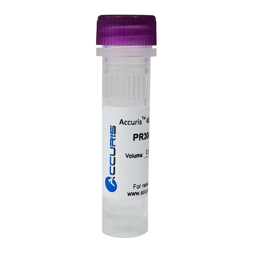 40mM dNTP Mix (10mM/80µm each), 2ml PR3040-M-4 - Accuris Instruments™ - Benchmark Scientific