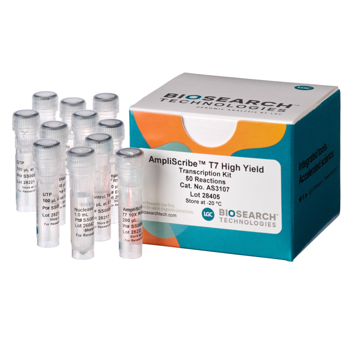 AmpliScribe T7 High Yield Transcription Kit AS3107 - Molecular biology enzymes - Biosearch Technologies