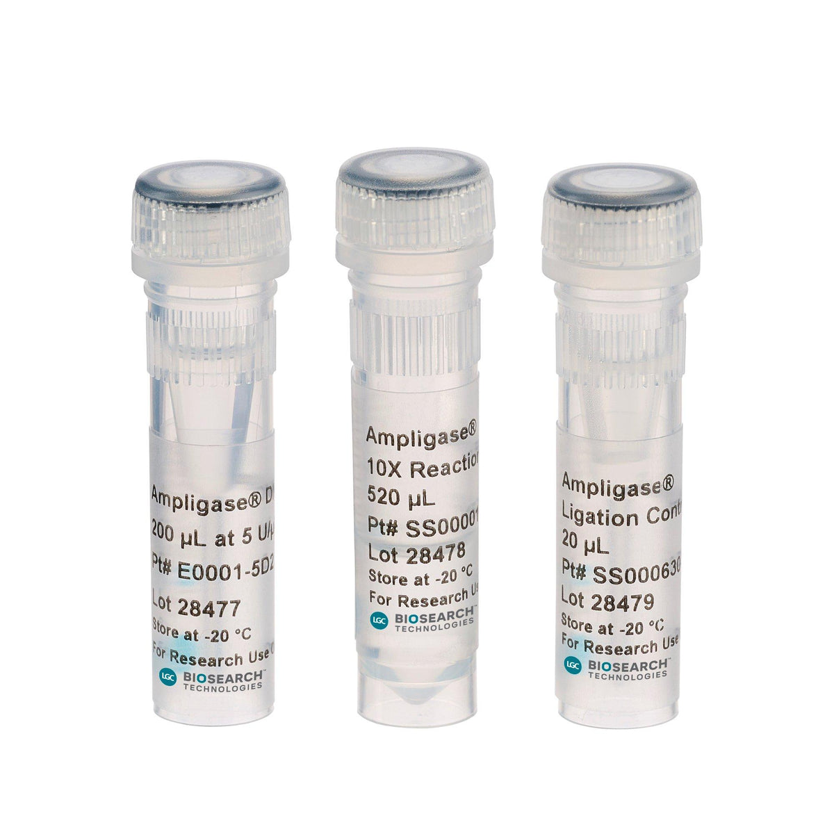 Ampligase Thermostable DNA Ligase A0110 - Molecular biology enzymes - Biosearch Technologies