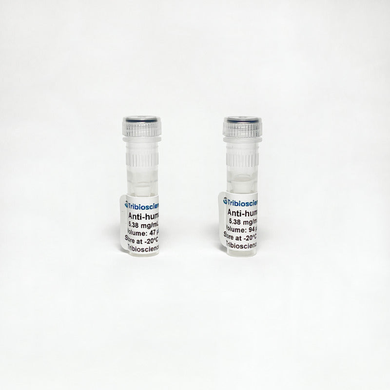 Monoclonal Anti-human IgA Antibody TBS10125-0.25MG - Antibodies - TriBioScience