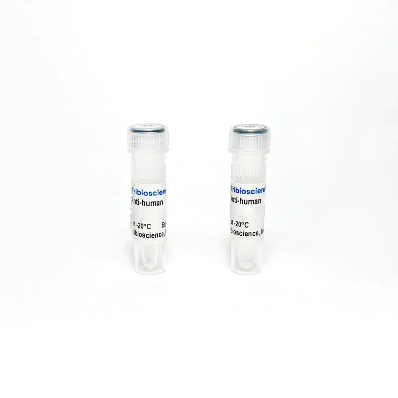 Monoclonal Antibody to Human IL-10, unconjugated TBS134303-0.1MG - Antibodies - TriBioScience