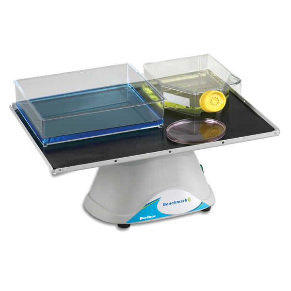 BlotBoy™ Low Speed 3D Rockers B3D1008-E - 2D & 3D Rockers - Benchmark Scientific