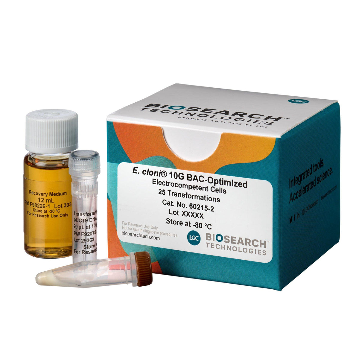 E. cloni 10G BAC-Optimized Electrocompetent Cells - Biosearch Technologies