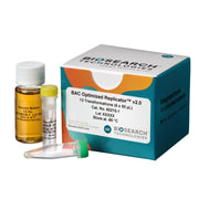 BAC-Optimised Electrocompetent Cells 60210 - Competent cells for transformation - Biosearch Technologies