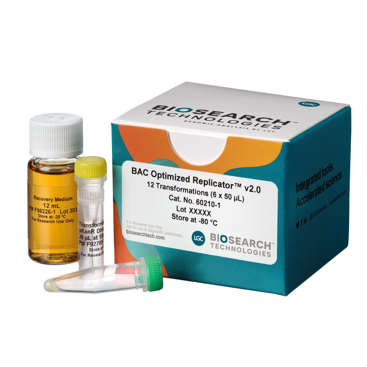BAC-Optimised Electrocompetent Cells 60210 - Competent cells for transformation - Biosearch Technologies
