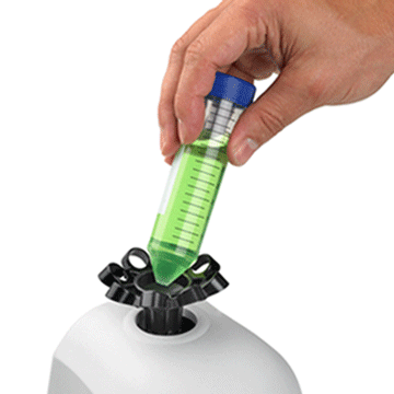 Mortexer™Â Vortex Mixer BV1005-E - Vortex Mixers - Benchmark Scientific