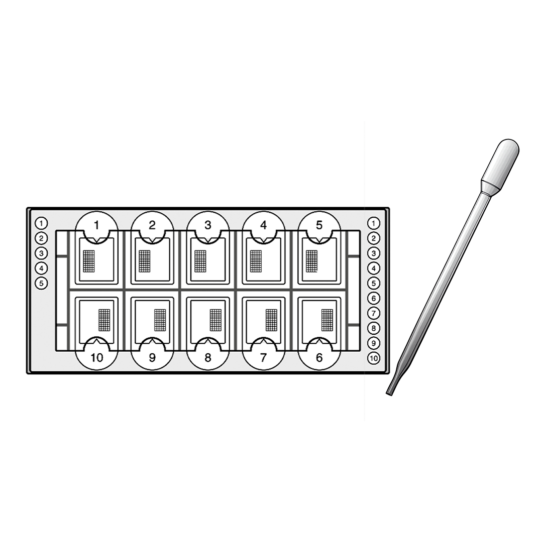 Fast-Read® Urine Sediment Kits (BVS101)