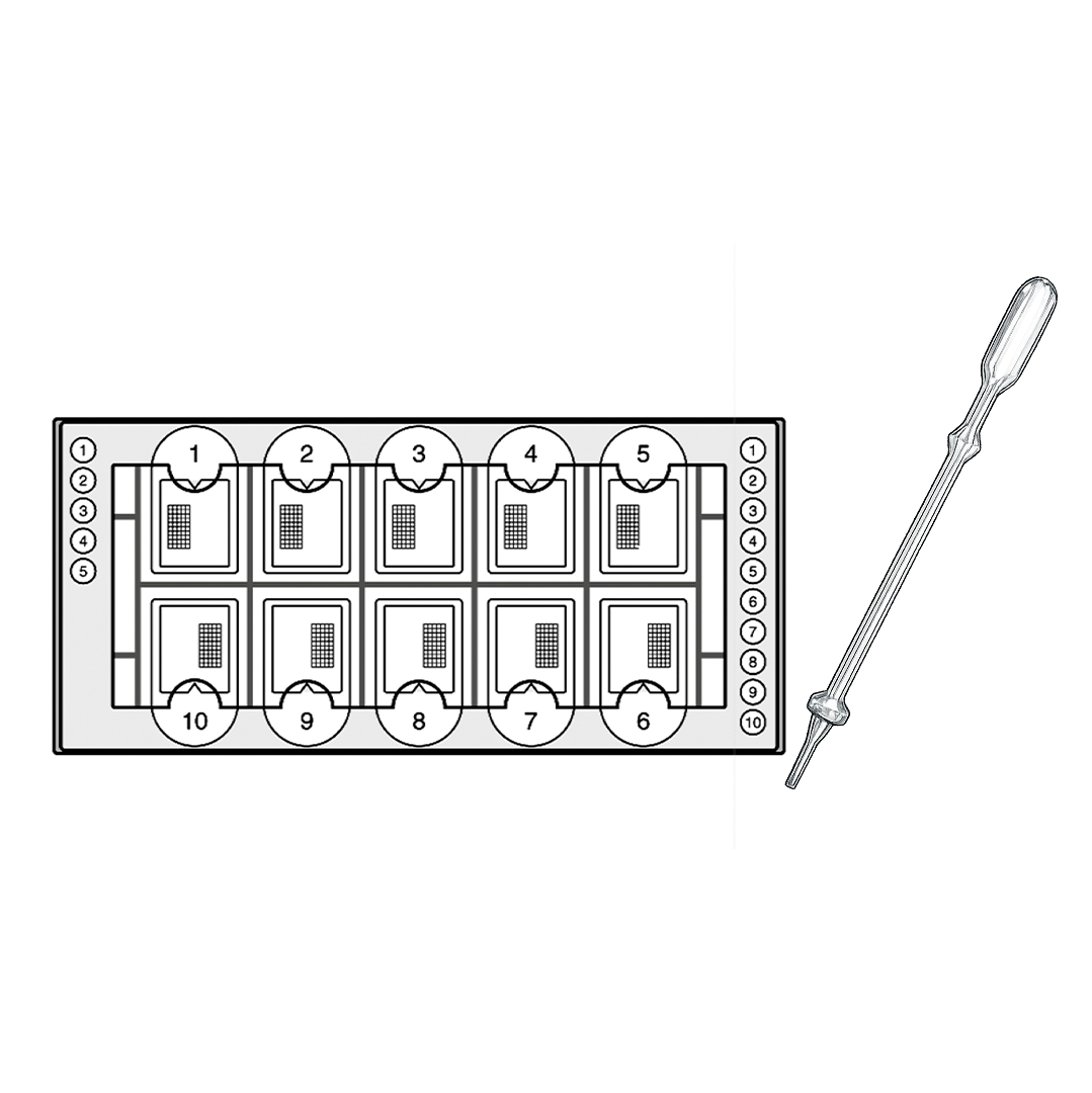 Fast-Read® Urine Sediment Kits (BVS101)