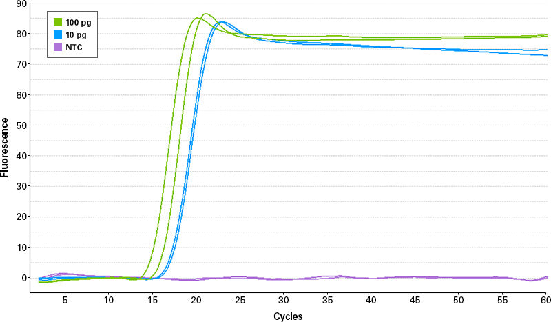 BcaBEST™ DNA Polymerase ver.2.0 RR380B - Real-time PCR - Takara Bio