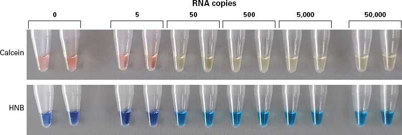 BcaBEST™ DNA Polymerase ver.2.0 RR380B - Real-time PCR - Takara Bio