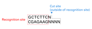 BspQ I 1227B - mRNA and cDNA synthesis - Takara Bio