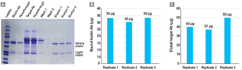 Capturem™ Streptavidin 96-Well Plate 635734 - Protein research - Takara Bio