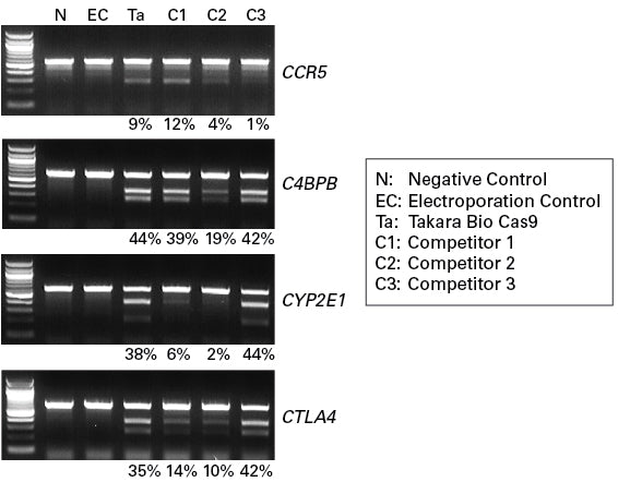 Guide-it™ Recombinant Cas9 (10 µg/µl) 632679 - Gene function - Takara Bio