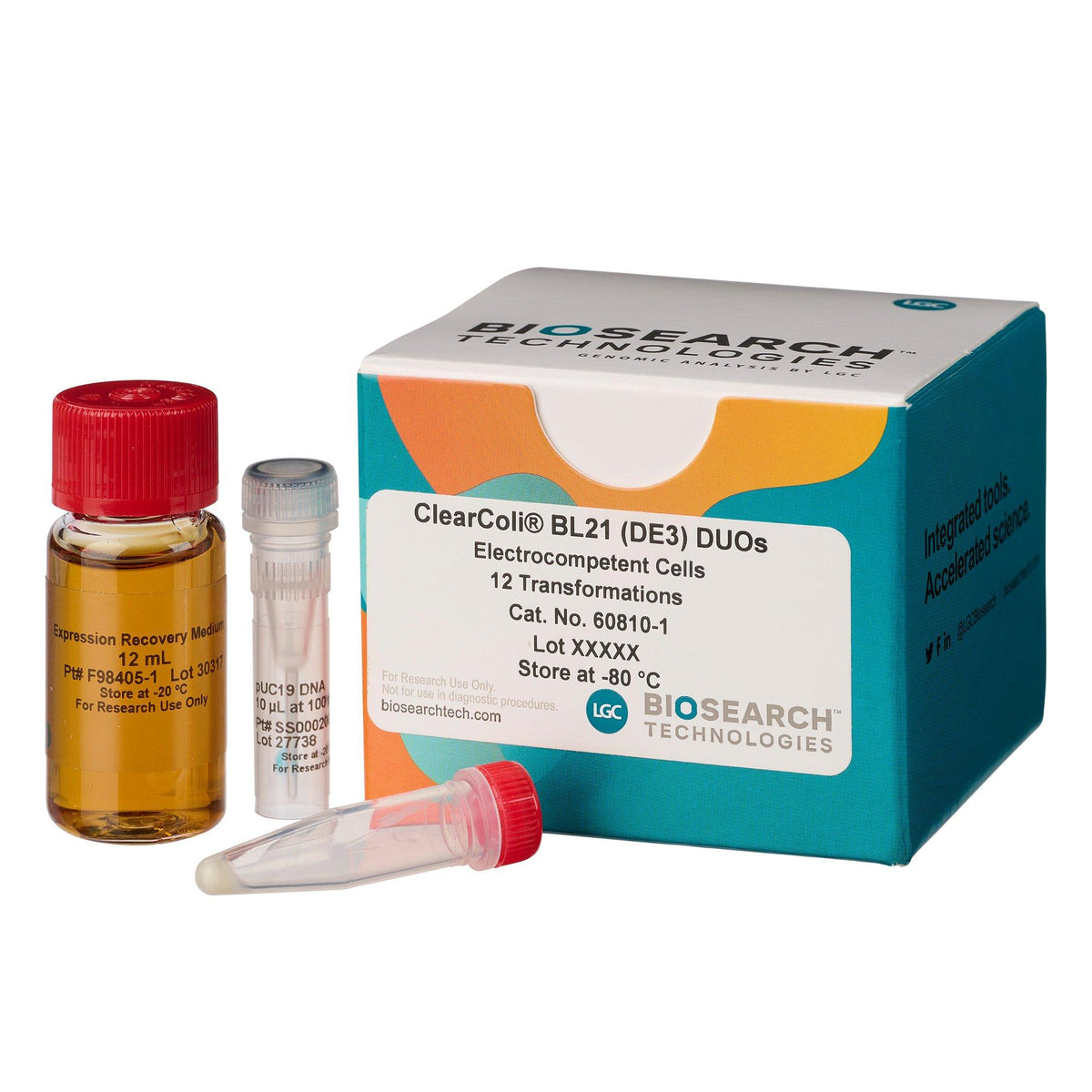 ClearColi BL21(DE3) Electrocompetent Cells COMCEL-008 - Competent cells for transformation - Biosearch Technologies