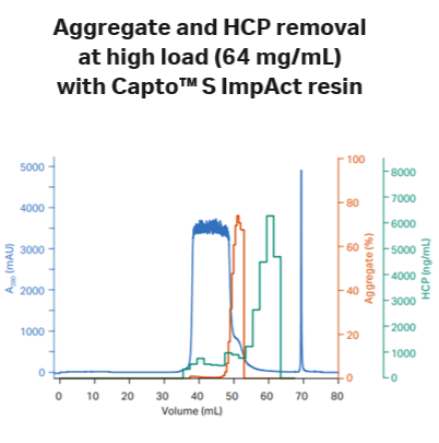 Capto™ S ImpAct ion exchange chromatography resin 17371703 - Chromatography products - Cytiva