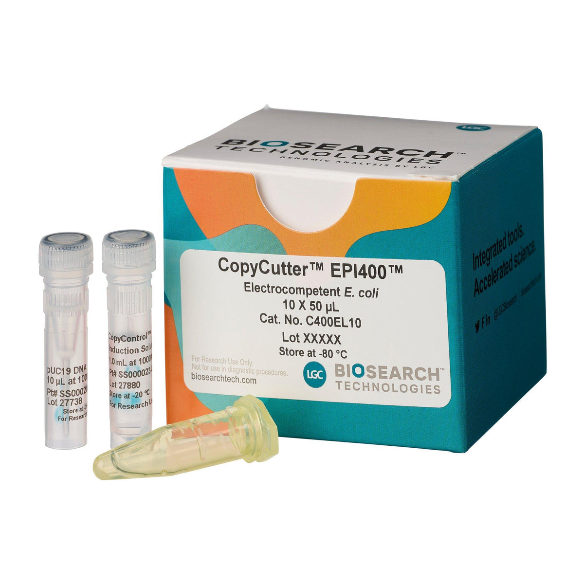 CopyCutter EPI400 Competent Cells COMCEL-010 - Competent cells for transformation - Biosearch Technologies