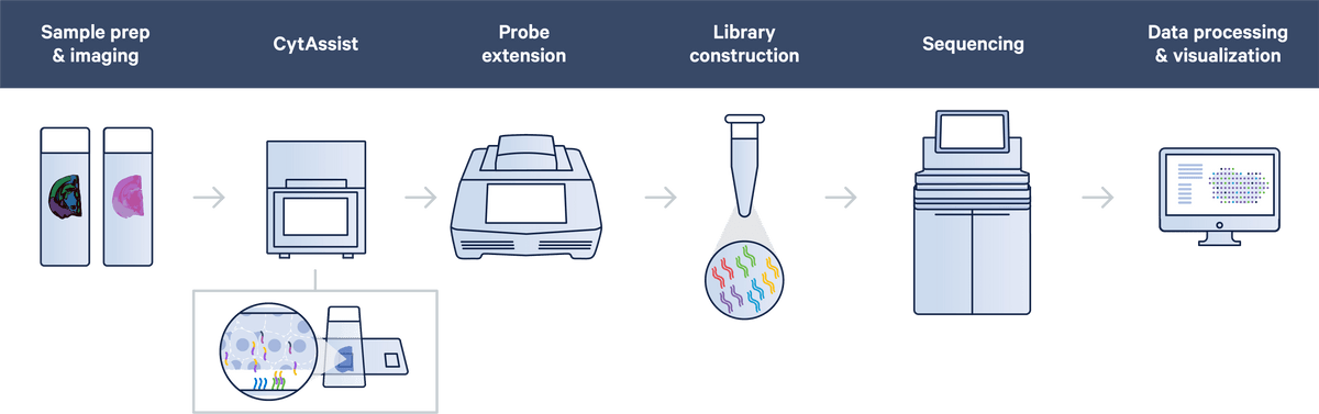 Visium CytAssist 1000441 - 10x Genomics
