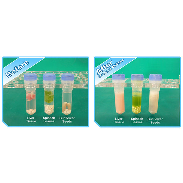 BeadBlaster 24R Refrigerated Microtube Homogenizer D2400-R-E - Homogenizers/Cell Lysis - Benchmark Scientific