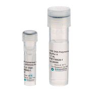 DNA Polymerase I Large (Klenow) Fragment 30098-1 - Molecular biology enzymes - Biosearch Technologies