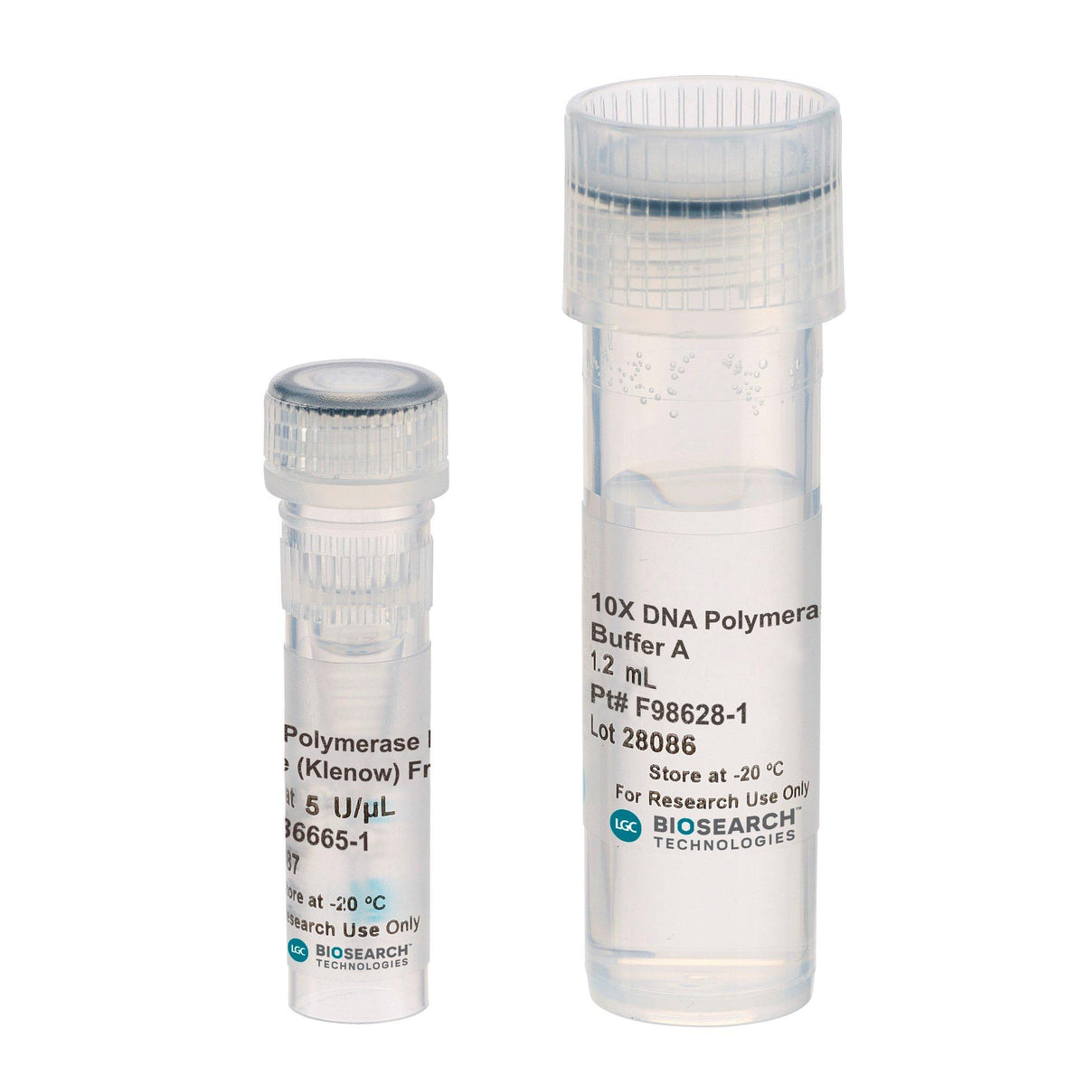 DNA Polymerase I Large (Klenow) Fragment 30098-1 - Molecular biology enzymes - Biosearch Technologies
