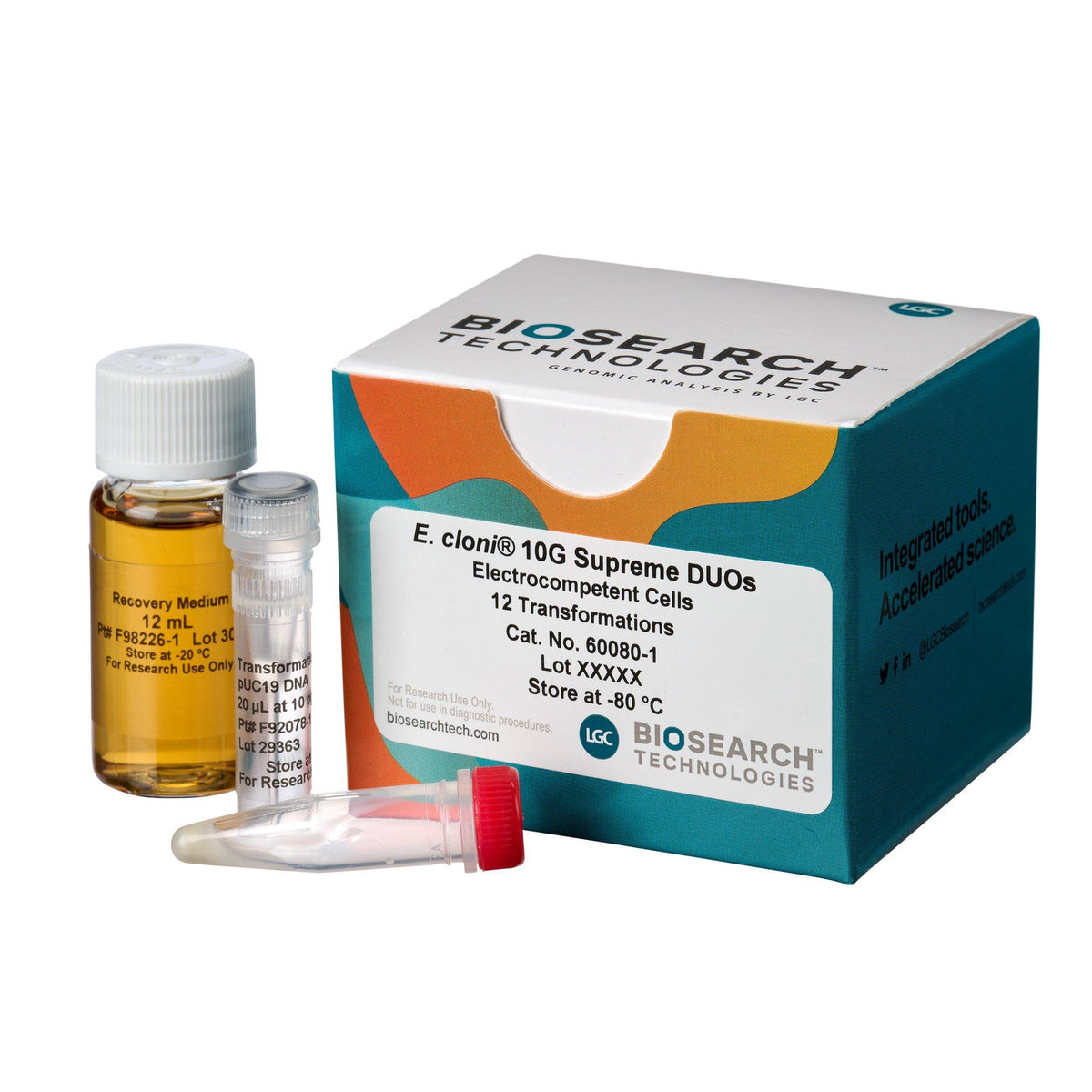 E. cloni 10G Supreme Electrocompetent Cells, Efficiency >4 x 1010 cfu/µg COMCEL-018 - Competent cells for transformation