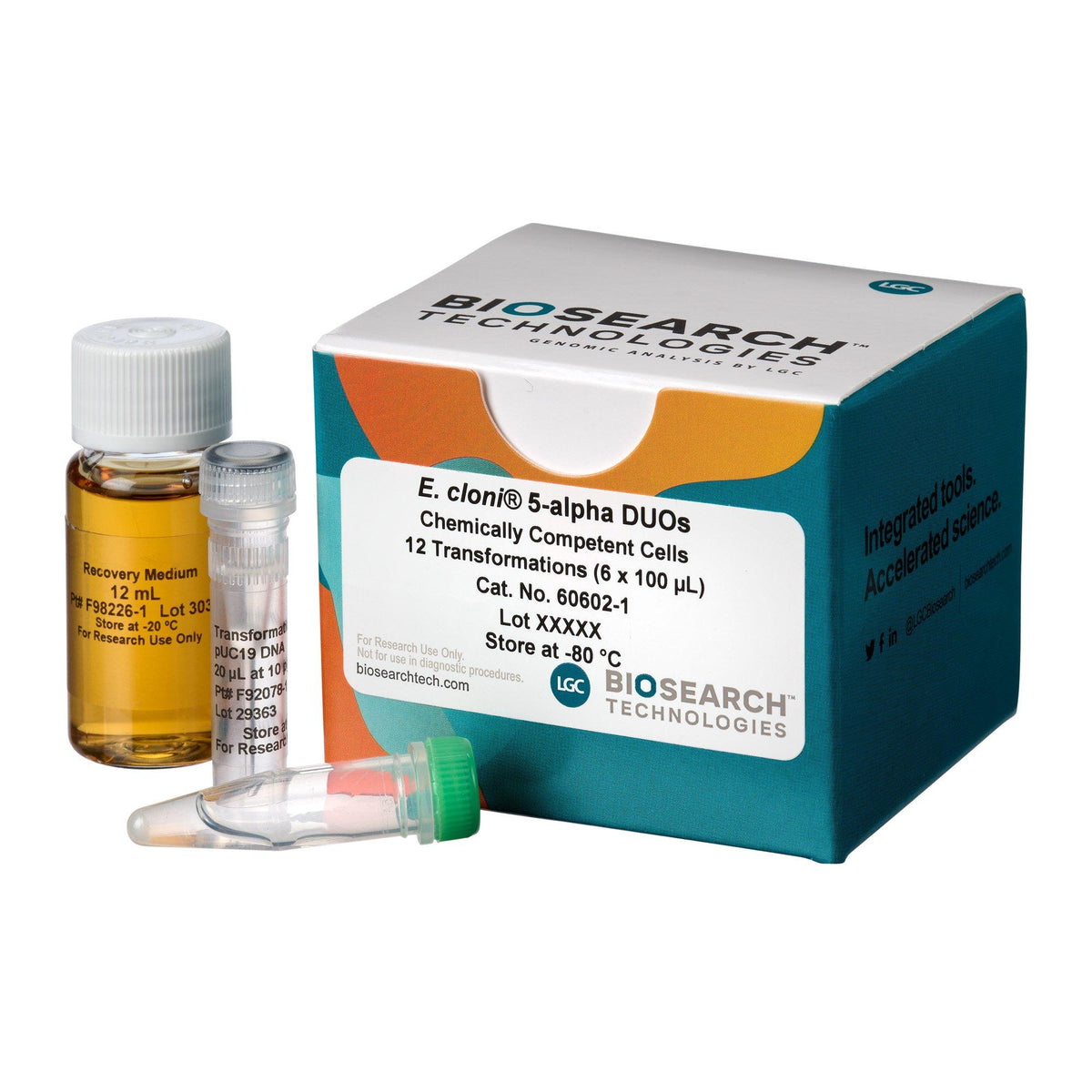 E. cloni 5-alpha Chemically Competent Cells COMCEL-006 - Competent cells for transformation - Biosearch Technologies