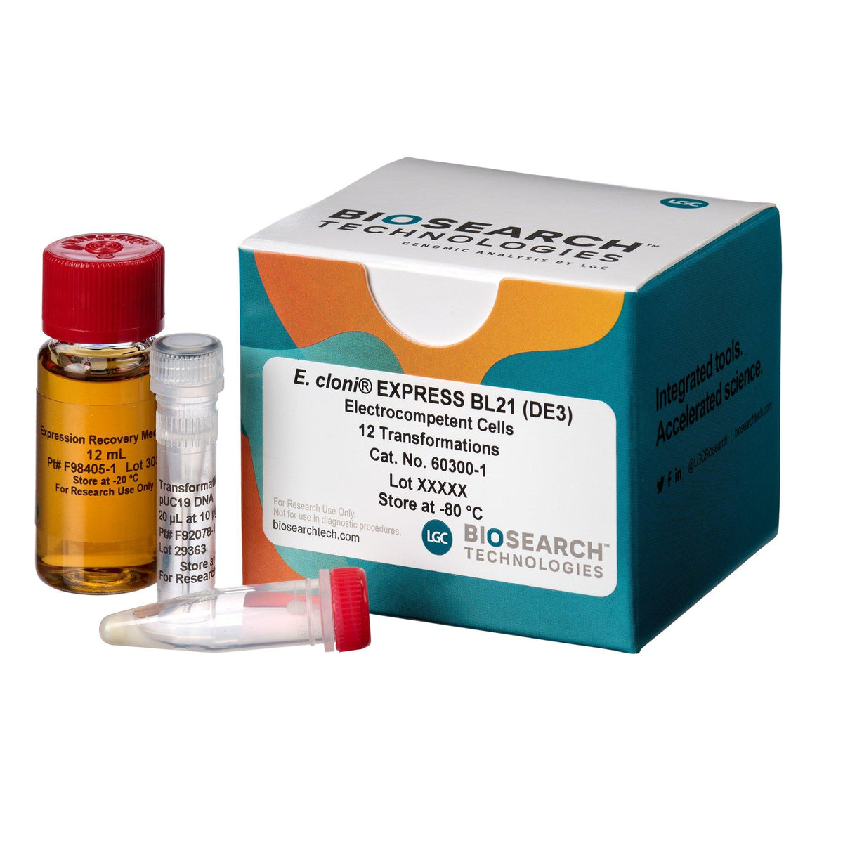E. cloni EXPRESS Competent Cells COMCEL-003 - Competent cells for transformation - Biosearch Technologies