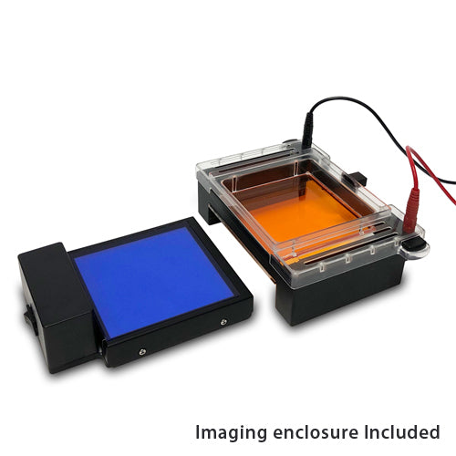 myGel InstaView™ Gel Tank with Blue LED Illuminator input E1200-E - Accuris Instruments™ - Benchmark Scientific