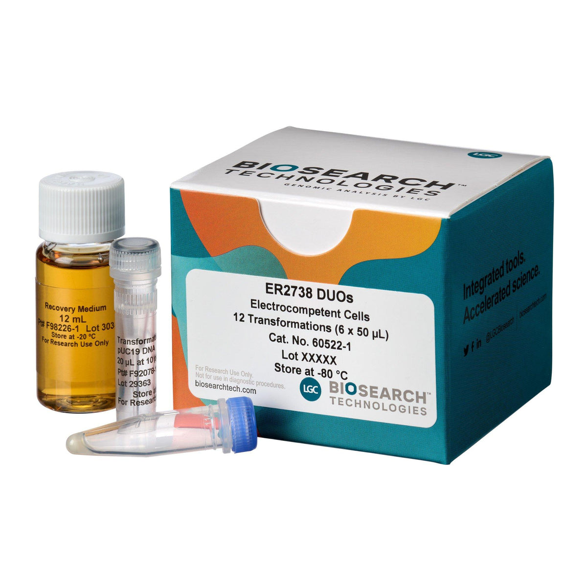ER2738 Electrocompetent Cells COMCEL-005 - Competent cells for transformation - Biosearch Technologies