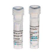 Endonuclease VIII NGS-010 - Molecular biology enzymes - Biosearch Technologies