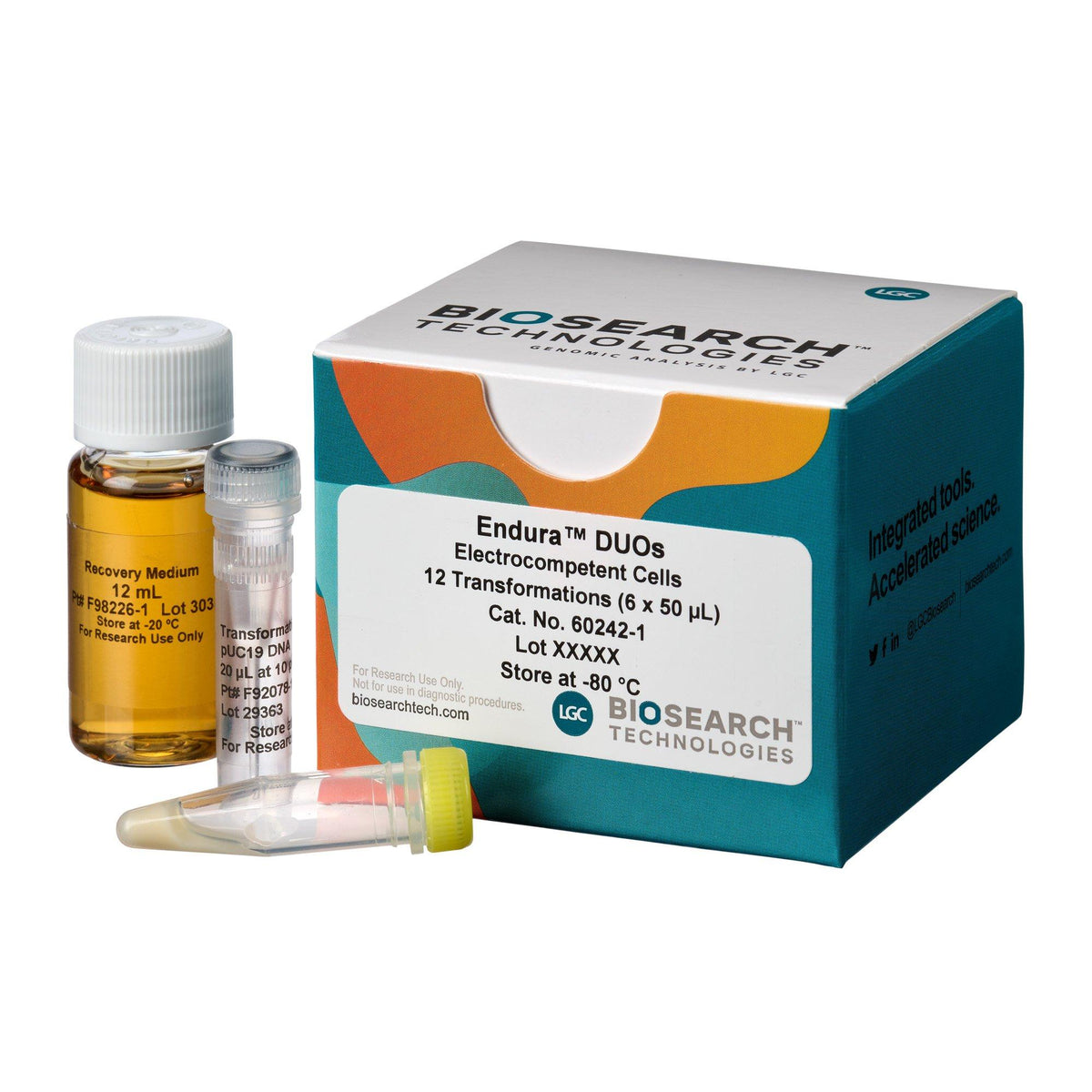 Endura Competent Cells COMCEL-002 - Competent cells for transformation - Biosearch Technologies