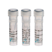 EpiScript RNase H- Reverse Transcriptase Kit 221 - PCR instruments, reagents and consumables - Biosearch Technologies